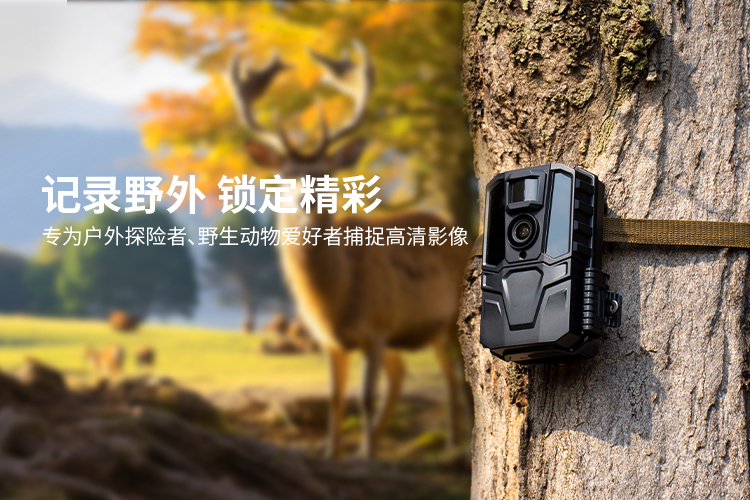 pg��ӡ�ģ�M��(ԇ���Α�)�ٷ��W(w��ng)վ��ģ�M��/ԇ��ƽ�_